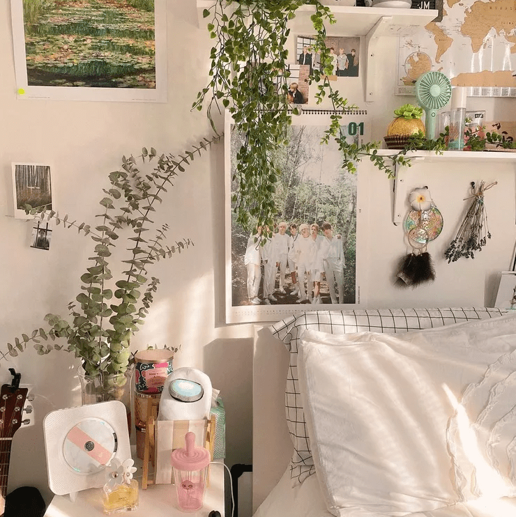 Aesthetic Room Idea with plants